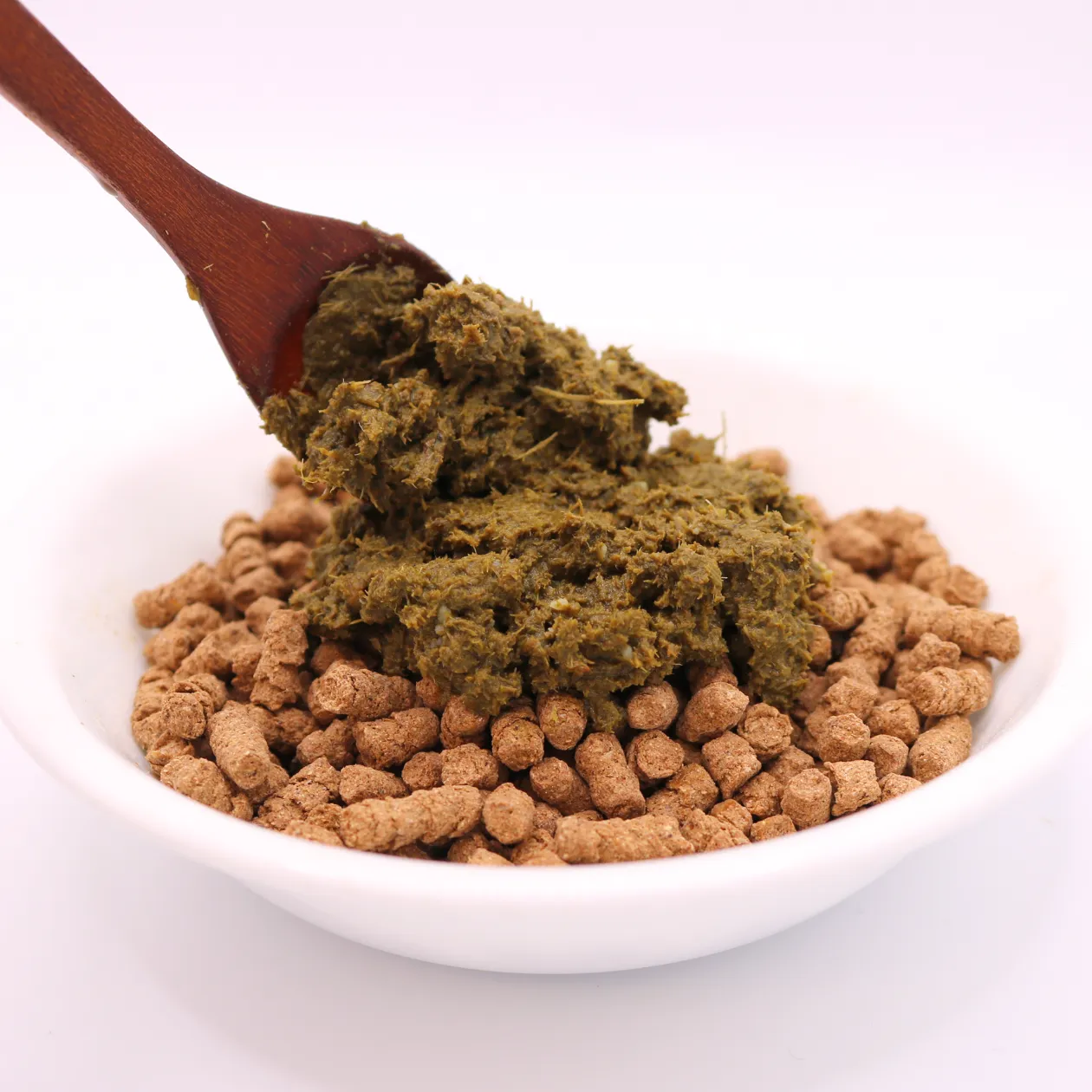 トライプのパワーを徹底解剖！愛犬の健康を支える魔法