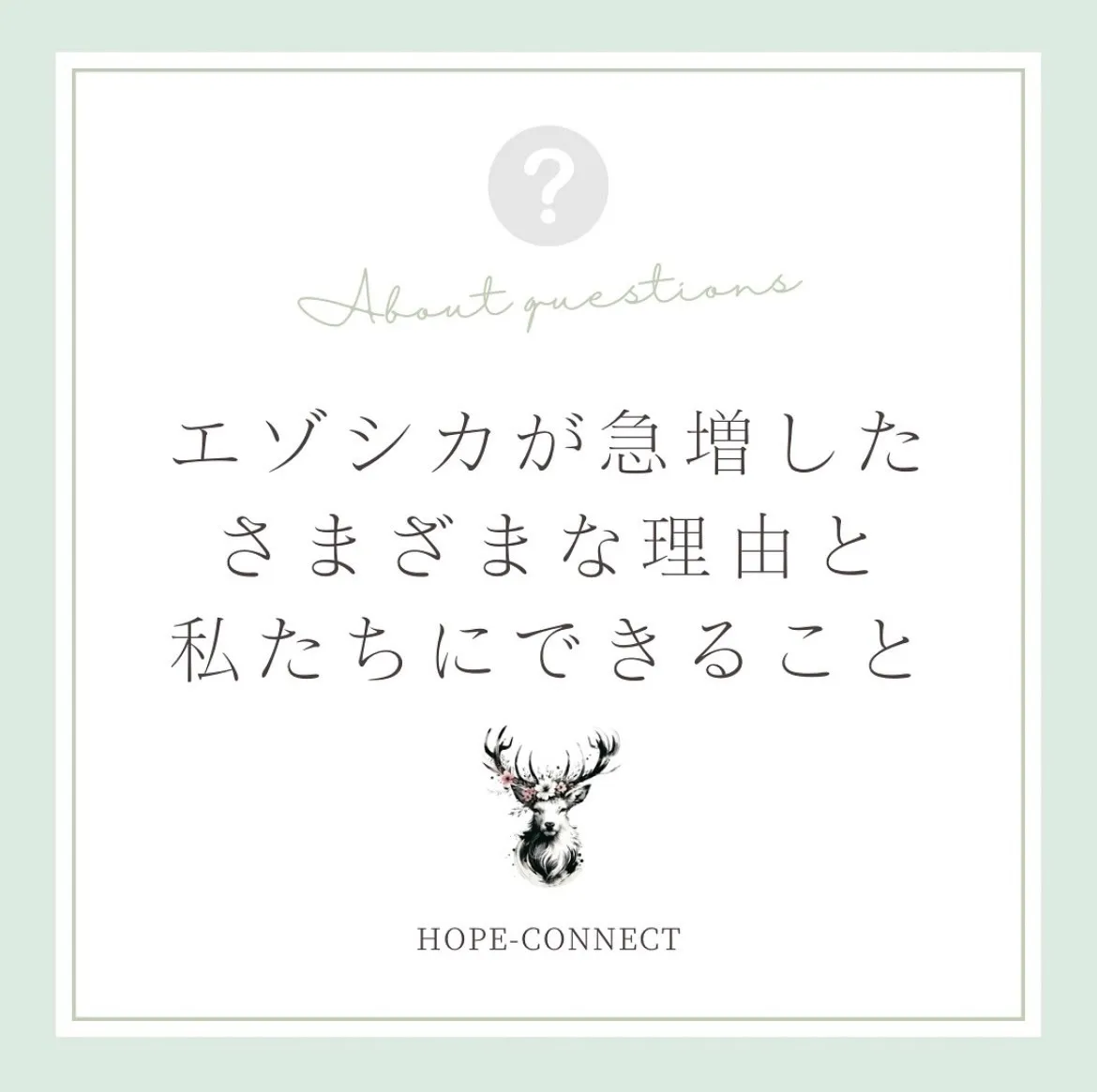 エゾシカが急増したさまざまな理由と私たちにできること