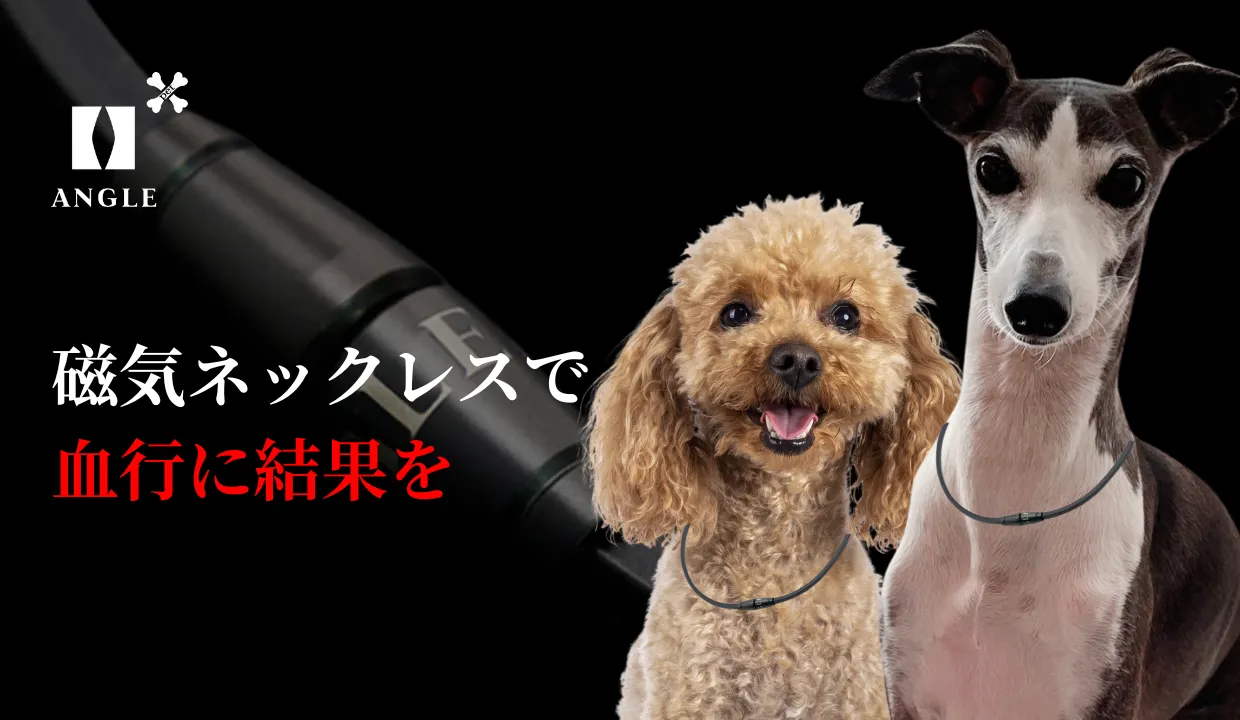 株式会社HOPEーCONNECT